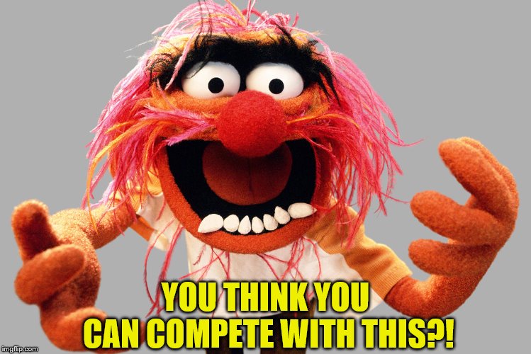 animal muppets | YOU THINK YOU CAN COMPETE WITH THIS?! | image tagged in animal muppets | made w/ Imgflip meme maker