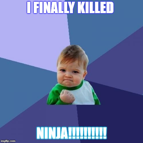 Success Kid | I FINALLY KILLED; NINJA!!!!!!!!!! | image tagged in memes,success kid | made w/ Imgflip meme maker