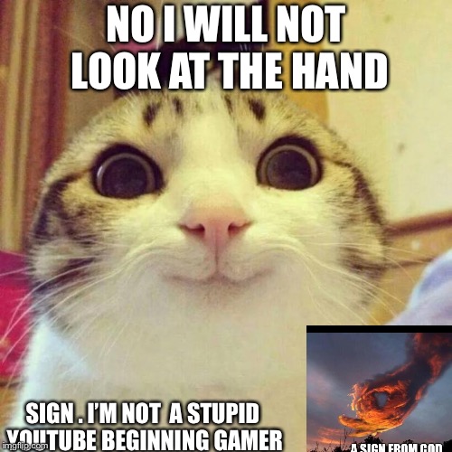 Smiling Cat | NO I WILL NOT LOOK AT THE HAND; SIGN . I’M NOT  A STUPID YOUTUBE BEGINNING GAMER | image tagged in memes,smiling cat | made w/ Imgflip meme maker