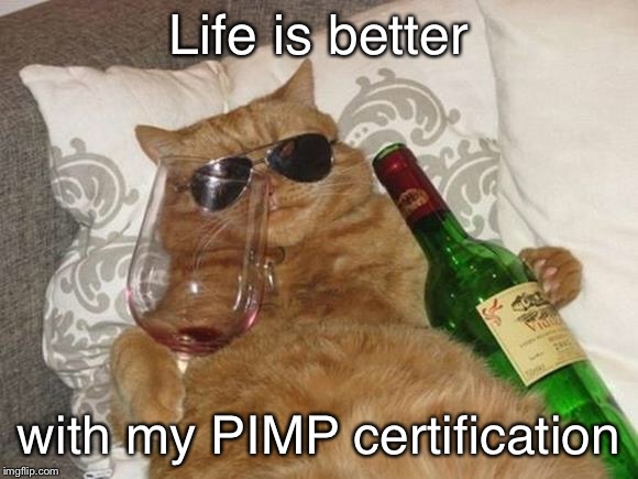 Meow! | Life is better; with my PIMP certification | image tagged in funny cat birthday,memes | made w/ Imgflip meme maker