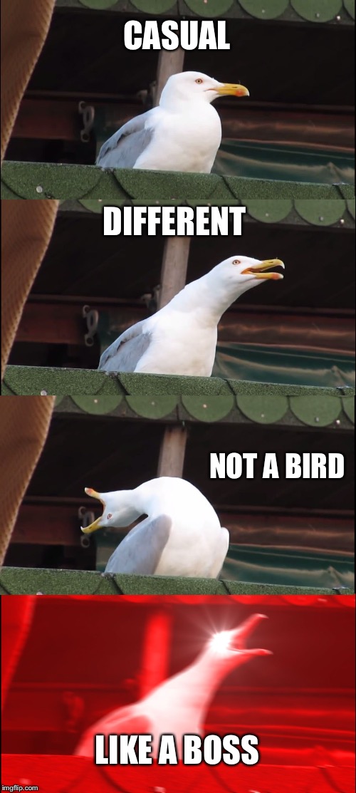 Inhaling Seagull | CASUAL; DIFFERENT; NOT A BIRD; LIKE A BOSS | image tagged in memes,inhaling seagull | made w/ Imgflip meme maker
