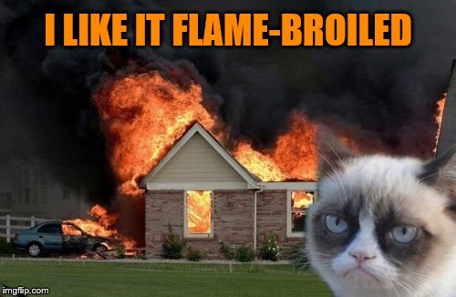 Burn Kitty Meme | I LIKE IT FLAME-BROILED | image tagged in memes,burn kitty,grumpy cat | made w/ Imgflip meme maker