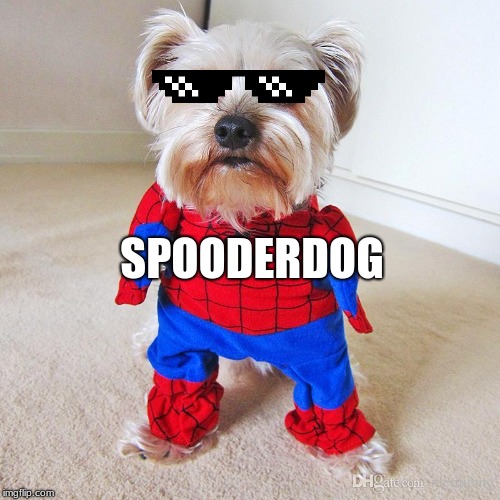 spooderdog | SPOODERDOG | image tagged in lol,meme | made w/ Imgflip meme maker
