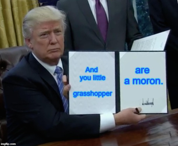 Trump Bill Signing Meme | And you little grasshopper are a moron. | image tagged in memes,trump bill signing | made w/ Imgflip meme maker