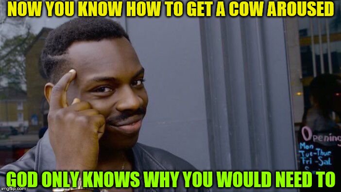 Roll Safe Think About It Meme | NOW YOU KNOW HOW TO GET A COW AROUSED GOD ONLY KNOWS WHY YOU WOULD NEED TO | image tagged in memes,roll safe think about it | made w/ Imgflip meme maker