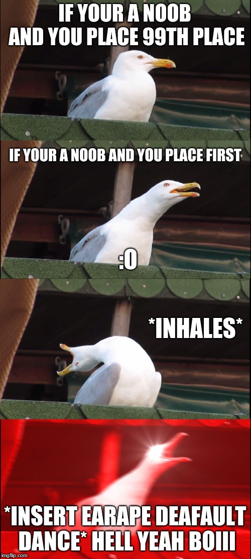 Inhaling Seagull Meme | IF YOUR A NOOB AND YOU PLACE 99TH PLACE; IF YOUR A NOOB AND YOU PLACE FIRST; :O; *INHALES*; *INSERT EARAPE DEAFAULT DANCE* HELL YEAH BOIII | image tagged in memes,inhaling seagull | made w/ Imgflip meme maker