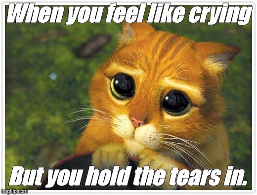 Shrek Cat | When you feel like crying; But you hold the tears in. | image tagged in memes,shrek cat | made w/ Imgflip meme maker