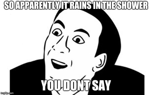 SO APPARENTLY IT RAINS IN THE SHOWER; YOU DONT SAY | image tagged in you don't say | made w/ Imgflip meme maker