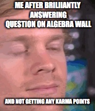 No Karma Points on Algebra Wall | ME AFTER BRILIIANTLY ANSWERING QUESTION ON ALGEBRA WALL; AND NOT GETTING ANY KARMA POINTS | image tagged in algebrawall,karmapoints | made w/ Imgflip meme maker