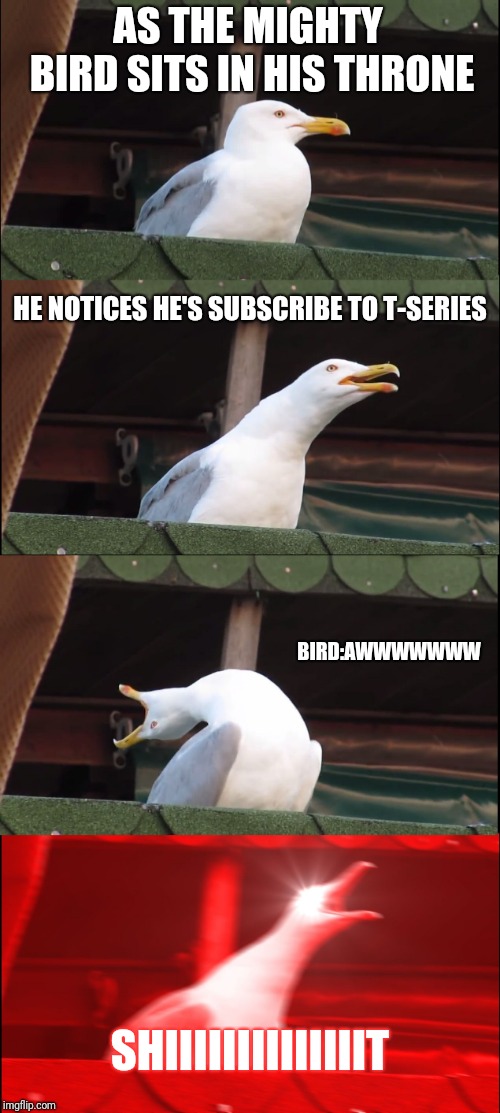 Inhaling Seagull Meme | AS THE MIGHTY BIRD SITS IN HIS THRONE; HE NOTICES HE'S SUBSCRIBE TO T-SERIES; BIRD:AWWWWWWW; SHIIIIIIIIIIIIIIT | image tagged in memes,inhaling seagull | made w/ Imgflip meme maker