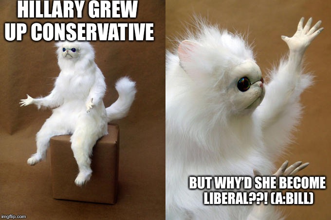 Persian Cat Room Guardian |  HILLARY GREW UP CONSERVATIVE; BUT WHY’D SHE BECOME LIBERAL??! (A:BILL) | image tagged in memes,persian cat room guardian | made w/ Imgflip meme maker