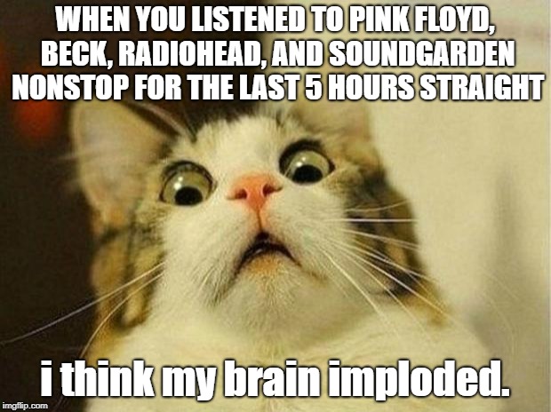 Scared Cat | WHEN YOU LISTENED TO PINK FLOYD, BECK, RADIOHEAD, AND SOUNDGARDEN NONSTOP FOR THE LAST 5 HOURS STRAIGHT; i think my brain imploded. | image tagged in memes,scared cat | made w/ Imgflip meme maker