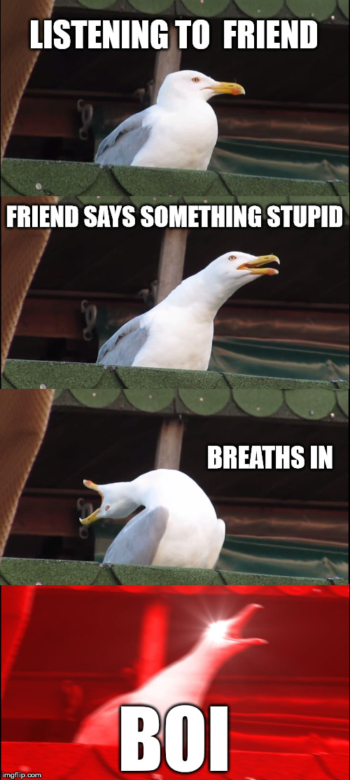 Inhaling Seagull Meme |  LISTENING TO  FRIEND; FRIEND SAYS SOMETHING STUPID; BREATHS IN; BOI | image tagged in memes,inhaling seagull | made w/ Imgflip meme maker