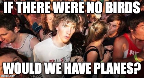 Sudden Clarity Clarence Meme |  IF THERE WERE NO BIRDS; WOULD WE HAVE PLANES? | image tagged in memes,sudden clarity clarence | made w/ Imgflip meme maker