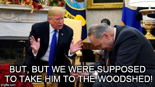 BUT, BUT WE WERE SUPPOSED TO TAKE HIM TO THE WOODSHED! | made w/ Imgflip meme maker