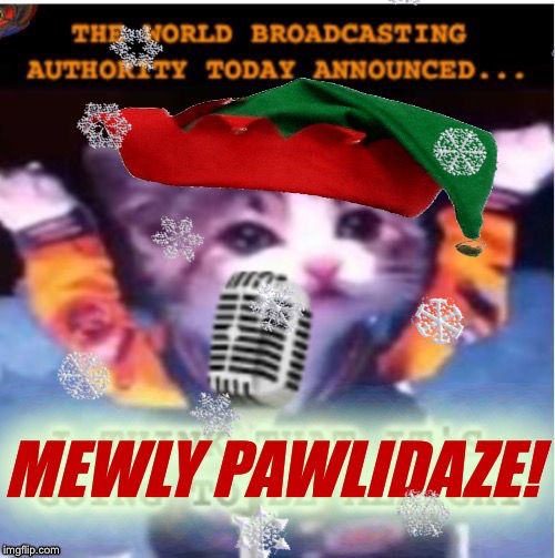 Here is the Mews from Walter Croncat  | image tagged in funny cat memes,happy holidays,news,christmas,new years,palaxote | made w/ Imgflip meme maker
