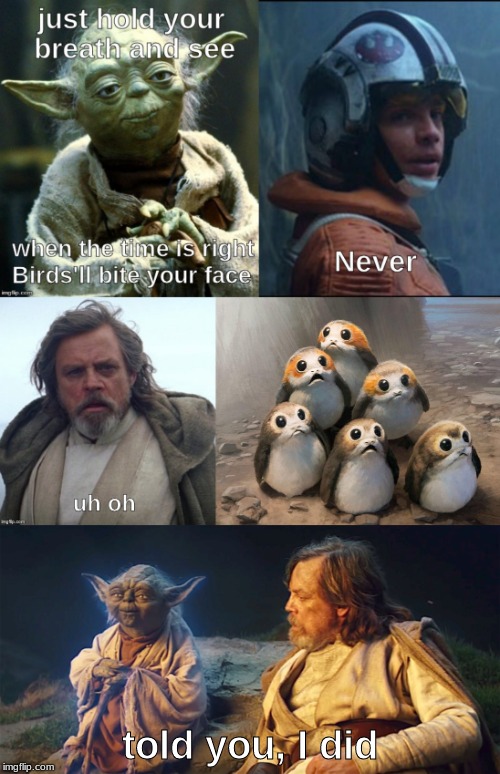 Seagulls gonna get you | told you, I did | image tagged in memes,star wars yoda,porg,star wars porg,seagulls stop it now,muu | made w/ Imgflip meme maker