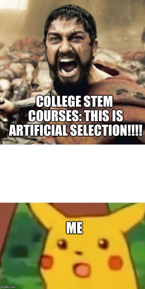 COLLEGE STEM COURSES: THIS IS ARTIFICIAL SELECTION!!!! ME | image tagged in this is sparta,memes,surprised pikachu | made w/ Imgflip meme maker