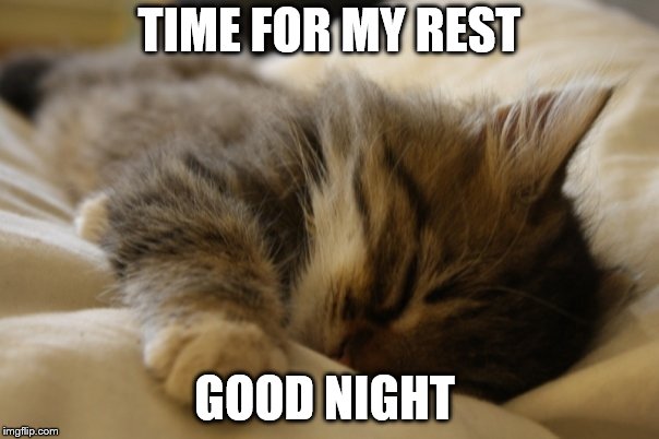 time for my rest | TIME FOR MY REST; GOOD NIGHT | image tagged in goodnight,kitten,kittens,cute kittens,meme,memes | made w/ Imgflip meme maker