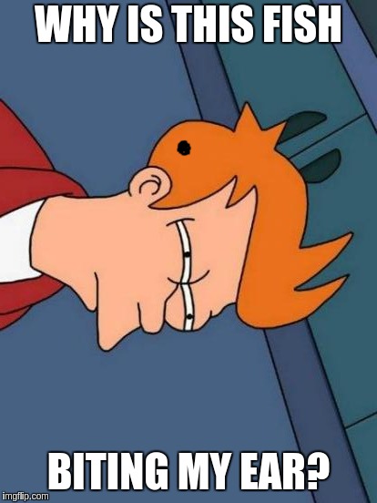 Futurama Fry | WHY IS THIS FISH; BITING MY EAR? | image tagged in memes,futurama fry | made w/ Imgflip meme maker