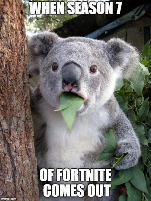 Surprised Koala | WHEN SEASON 7; OF FORTNITE COMES OUT | image tagged in memes,surprised koala | made w/ Imgflip meme maker