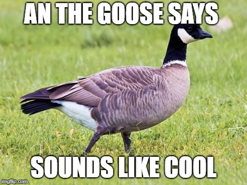 wild goose sound