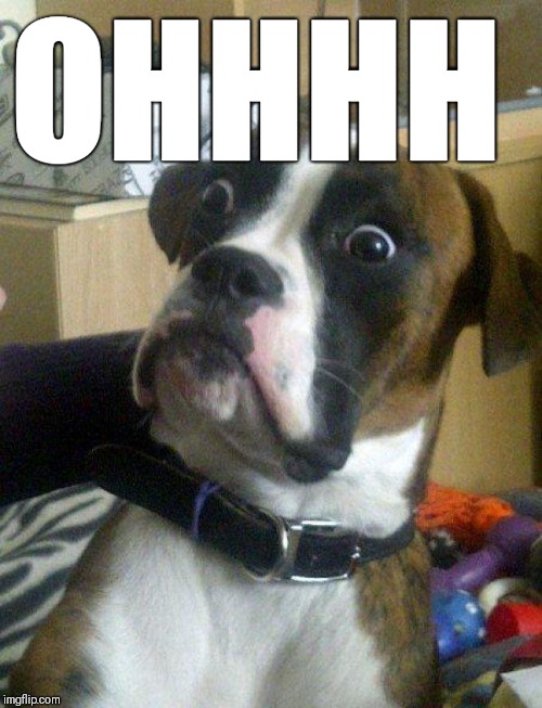 Blankie the Shocked Dog | OHHHH | image tagged in blankie the shocked dog | made w/ Imgflip meme maker