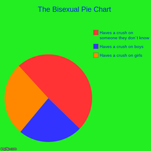 The Bisexual Pie Chart | Haves a crush on girls, Haves a crush on boys, Haves a crush on someone they don´t know | image tagged in funny,pie charts | made w/ Imgflip chart maker