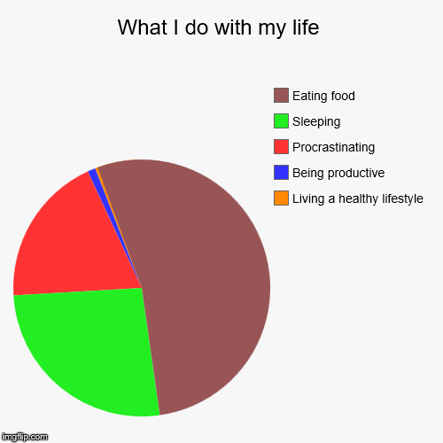 What I do with my life | Living a healthy lifestyle, Being productive, Procrastinating, Sleeping, Eating food | image tagged in funny,pie charts | made w/ Imgflip chart maker