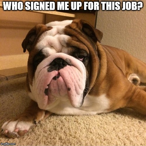 WHO SIGNED ME UP FOR THIS JOB? | made w/ Imgflip meme maker
