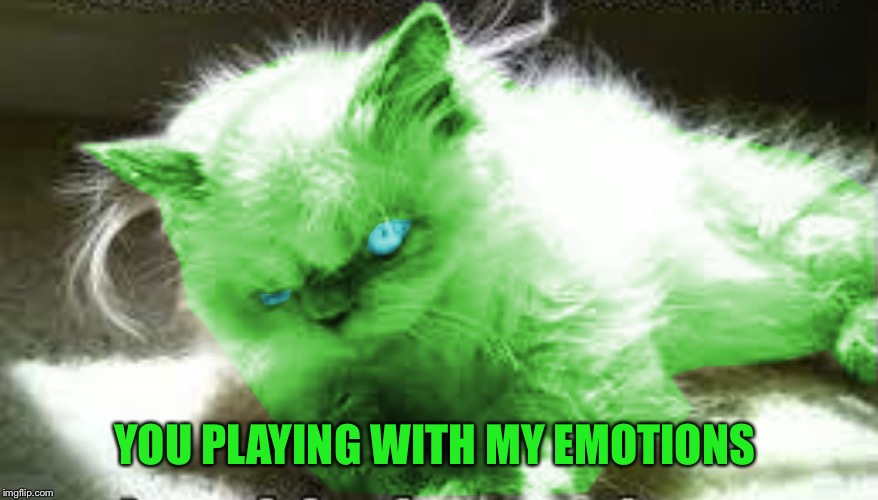 mad raycat | YOU PLAYING WITH MY EMOTIONS | image tagged in mad raycat | made w/ Imgflip meme maker