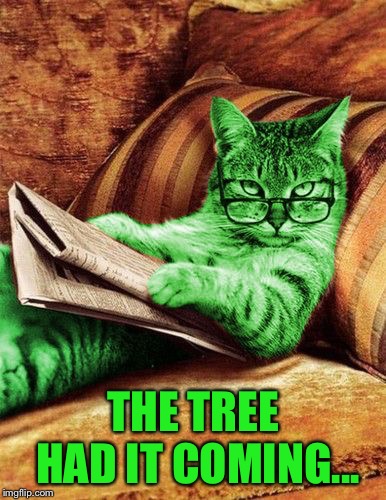 Factual RayCat | THE TREE HAD IT COMING... | image tagged in factual raycat | made w/ Imgflip meme maker