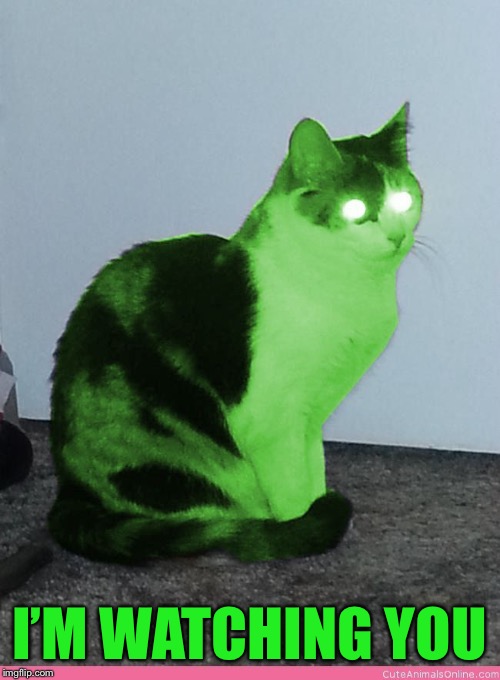 Hypno Raycat | I’M WATCHING YOU | image tagged in hypno raycat | made w/ Imgflip meme maker