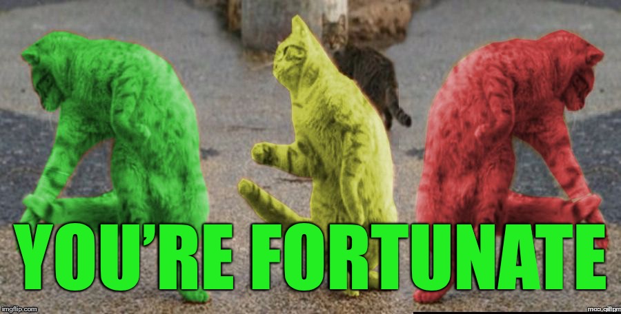 Three Dancing RayCats | YOU’RE FORTUNATE | image tagged in three dancing raycats | made w/ Imgflip meme maker