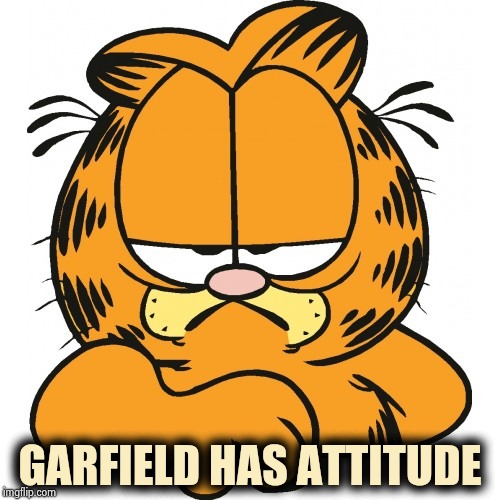 Garfield | GARFIELD HAS ATTITUDE | image tagged in garfield | made w/ Imgflip meme maker