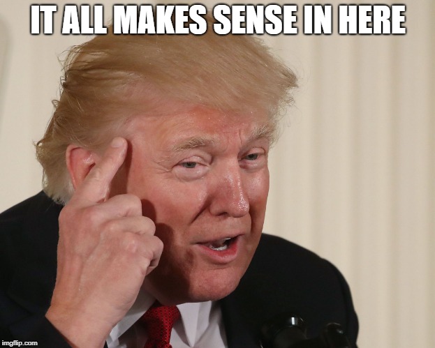 Trump Thinking | IT ALL MAKES SENSE IN HERE | image tagged in trump thinking | made w/ Imgflip meme maker