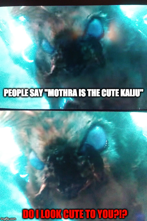 the cute kaiju | PEOPLE SAY "MOTHRA IS THE CUTE KAIJU"; DO I LOOK CUTE TO YOU?!? | image tagged in memes | made w/ Imgflip meme maker