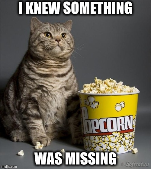Cat eating popcorn | I KNEW SOMETHING WAS MISSING | image tagged in cat eating popcorn | made w/ Imgflip meme maker