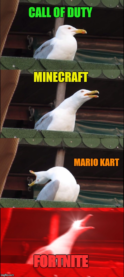 Inhaling Seagull Meme | CALL OF DUTY; MINECRAFT; MARIO KART; FORTNITE | image tagged in memes,inhaling seagull | made w/ Imgflip meme maker