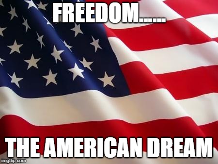 American flag | FREEDOM...... THE AMERICAN DREAM | image tagged in american flag | made w/ Imgflip meme maker