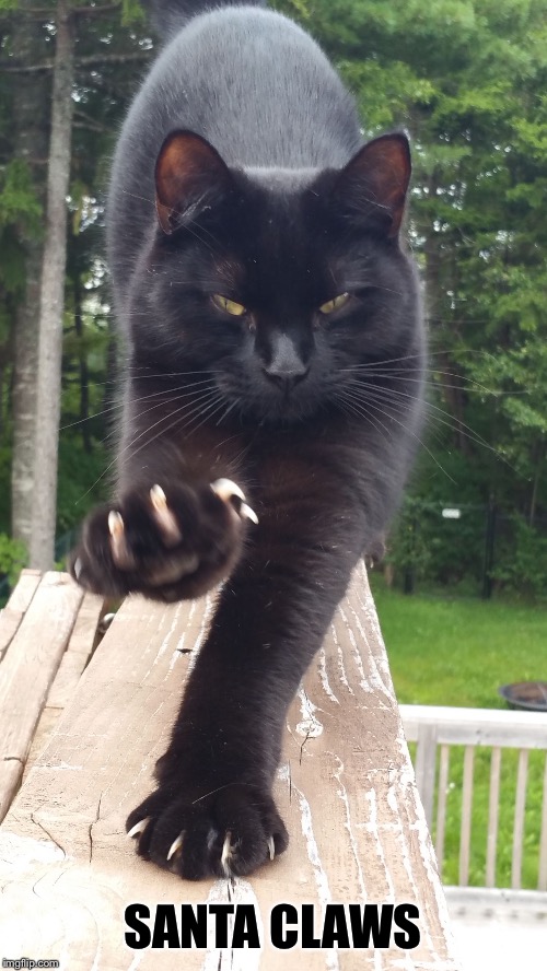 black cat claws pissed | SANTA CLAWS | image tagged in black cat claws pissed | made w/ Imgflip meme maker