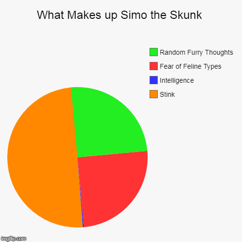 What Makes up Simo the Skunk | Stink, Intelligence, Fear of Feline Types, Random Furry Thoughts | image tagged in funny,pie charts | made w/ Imgflip chart maker
