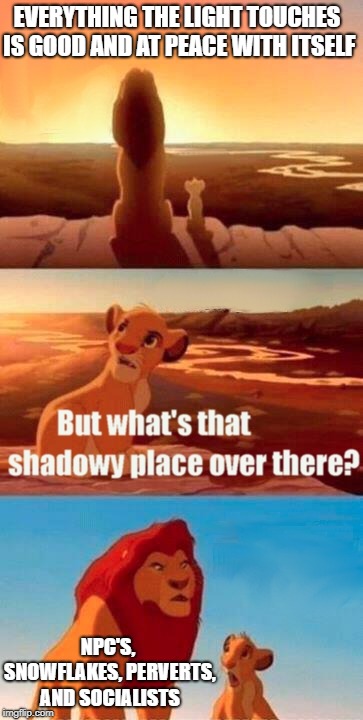 Tell It Like It Is, Dad | EVERYTHING THE LIGHT TOUCHES IS GOOD AND AT PEACE WITH ITSELF; NPC'S, SNOWFLAKES, PERVERTS, AND SOCIALISTS | image tagged in memes,simba shadowy place | made w/ Imgflip meme maker