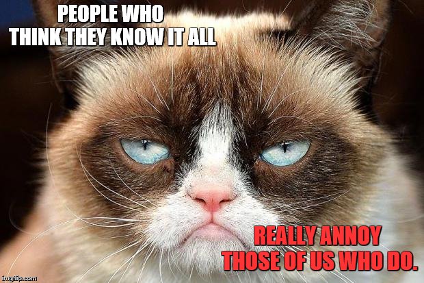 Grumpy Cat Not Amused Meme | PEOPLE WHO THINK THEY KNOW IT ALL; REALLY ANNOY THOSE OF US WHO DO. | image tagged in memes,grumpy cat not amused,grumpy cat | made w/ Imgflip meme maker