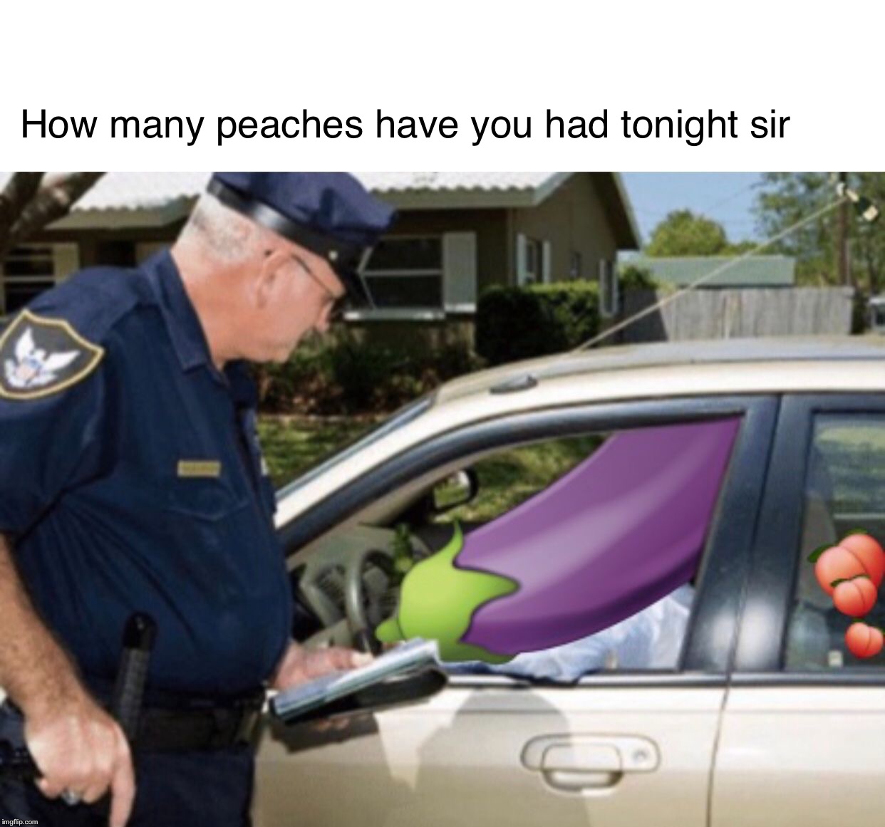 Eggplant | How many peaches have you had tonight sir | image tagged in eggplant | made w/ Imgflip meme maker