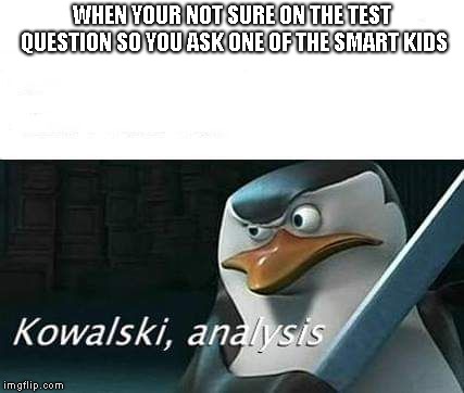 kowalski, analysis | WHEN YOUR NOT SURE ON THE TEST QUESTION SO YOU ASK ONE OF THE SMART KIDS | image tagged in kowalski analysis,school,smart guy | made w/ Imgflip meme maker