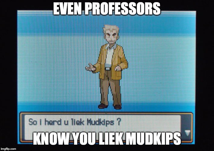 Lieking Mudkips | EVEN PROFESSORS; KNOW YOU LIEK MUDKIPS | image tagged in mudkipz,memes,pokemon | made w/ Imgflip meme maker