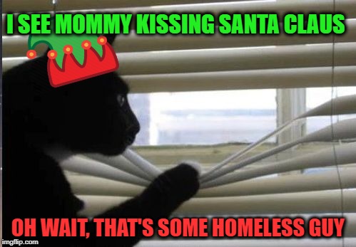 Christmas mishap  | I SEE MOMMY KISSING SANTA CLAUS; OH WAIT, THAT'S SOME HOMELESS GUY | image tagged in funny memes,cat,christmas,santa claus,cat memes,happy holidays | made w/ Imgflip meme maker
