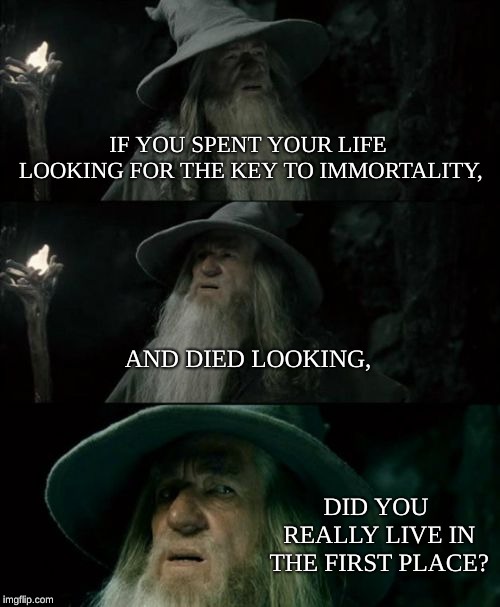Confused Gandalf Meme | IF YOU SPENT YOUR LIFE LOOKING FOR THE KEY TO IMMORTALITY, AND DIED LOOKING, DID YOU REALLY LIVE IN THE FIRST PLACE? | image tagged in memes,confused gandalf | made w/ Imgflip meme maker