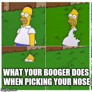 Homer hides | WHAT YOUR BOOGER DOES WHEN PICKING YOUR NOSE | image tagged in homer hides | made w/ Imgflip meme maker